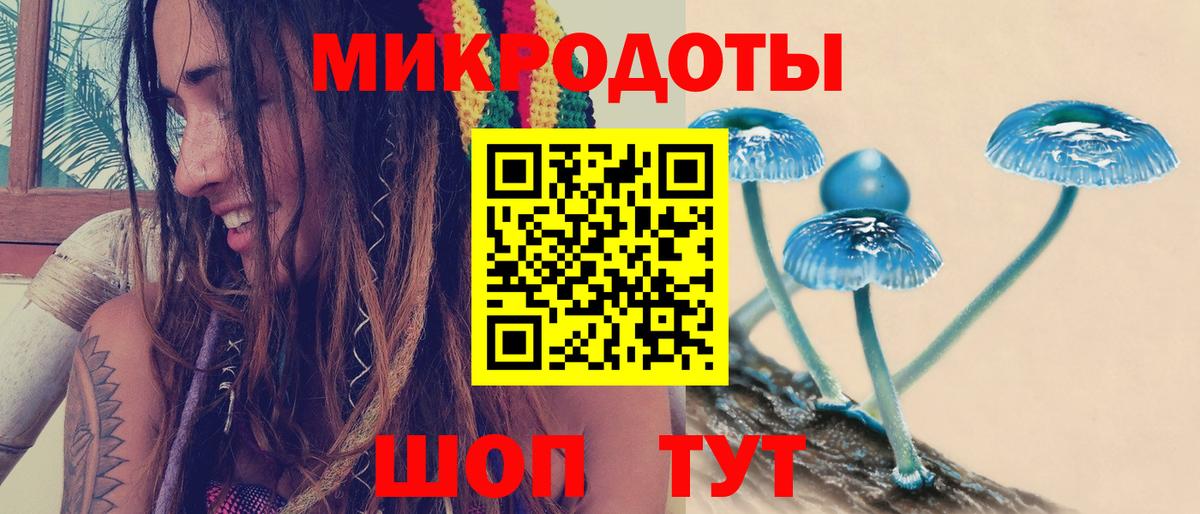 Псилоцибиновые грибы Psilocybe Арзамас